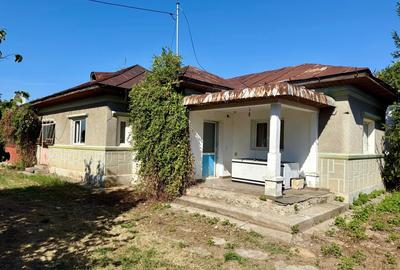 Vand casa cu teren generos, acces direct la DN, Balta Doamnei - 5