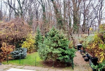 Teren cu locatie premium la liziera padurii Baneasa, in Sector 1, Bucuresti - 3