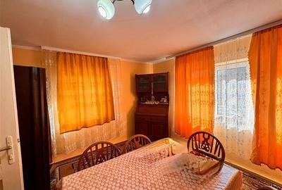 De vanzare sau la schimb, casa batraneasca in Ferneziu, cu 6 ari teren - 3