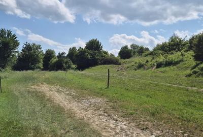 Teren extravilan Tohan cu priveliste - 6