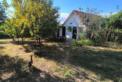 Vila individuala 5 camere,1070mp teren, Bucium - Visani - 2