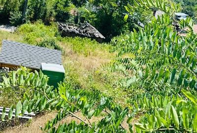 Spațiu comercial, în Enculești - 4