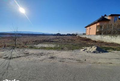 Teren de 2988 mp, în Ostroveni - 3