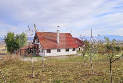 Casa de vanzare, sub padure, intr-un cadru natural deosebit – Sancraiu - 3