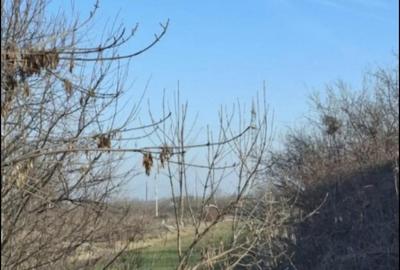 Teren de 2600 mp, în Călugăreni - 2