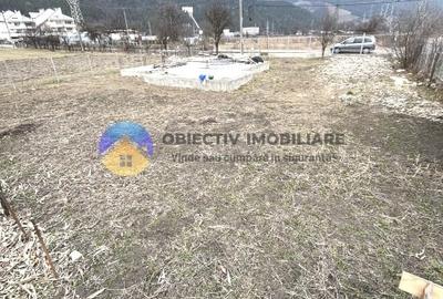 TEREN cu temelie ciment  PANGARATI - STEJARU - 2