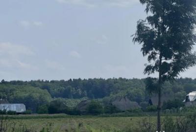 Teren de 13518 mp, în Marginea - 2