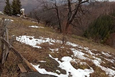 Teren în Mărișel - 1