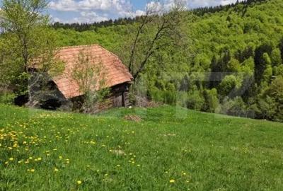 Teren de 3400 mp, în Bran - 1