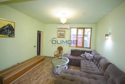 Inchiriere vila cu personalitate zona Tudor Vladimirescu - 6