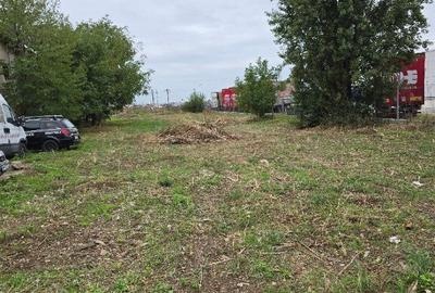 Hala , SC total 2048 MP , P+E, trifazic , teren 2000 mp, zona Borsului - 8