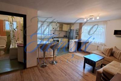 Apartament cu 2 camere semidecomandat, mobilat în Bună Ziua