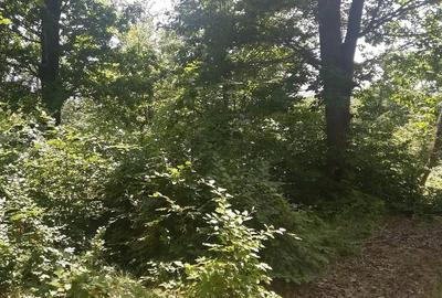 Teren de 20000 mp, în Posești - 2