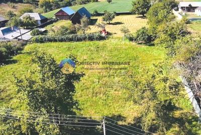 Teren agricol intravilan de 3260 mp, în Chintinici - 5