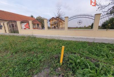 Casa cu 5 camere, 236 mp, teren 5805 mp, gaz, Brestea - Denta - 10