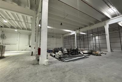 Inchiriere depozit/hala/spatiu industrial Berceni - Turnu Magurele - Metalurgiei - 5