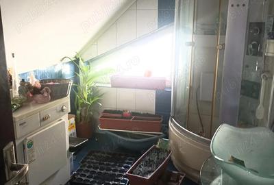 Casă cu 2 camere cu Teren 350 Mp în Bălcescu - 4