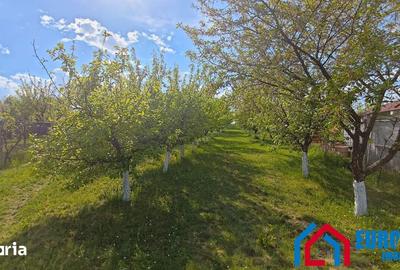 Teren de 1000 mp, în Roșia