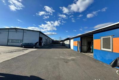 Spațiu comercial, de 1,433 mp, în Satu Nou de Jos - 11