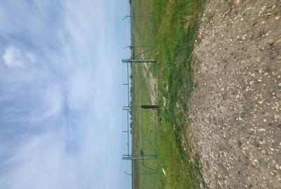 Teren agricol intravilan de 10 mp, în Sintea Mare - 2