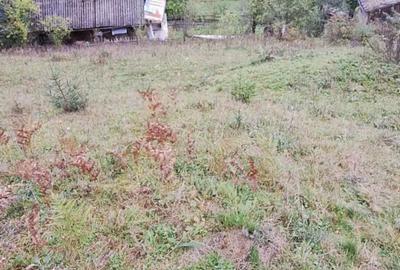 Casa si teren de vanzare langa statiunea Arie?eni - 2