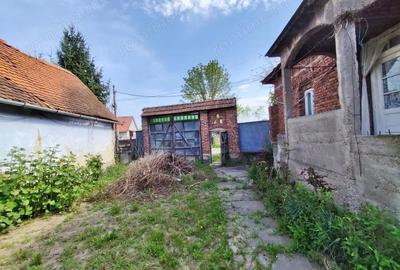 Casă cu 4 camere cu Teren 4122 Mp în Petid - 17