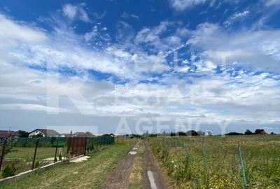 Teren agricol, Intravilan, loc. Vorovești, Iași, 1000mp - 5