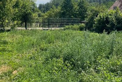 Vand casa la ?ara, Petri? Vand casa la ?ara, Petri? - 5