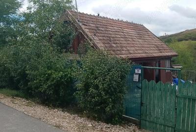 Casă cu 2 camere în Gădălin - 1