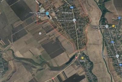 Teren extravilan Smardioasa, cota 1/6, ID: R2688427 - 17