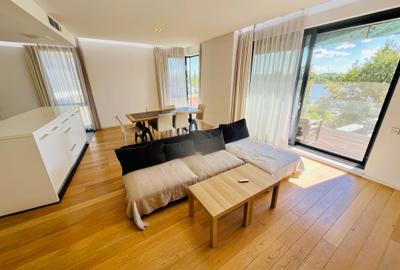 Inchiriere Apartament 5 camere 214mp Aviatiei - 9