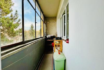 Apartament cu 2 camere decomandat în Mănăștur - 7