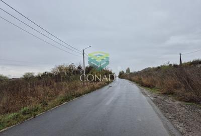 Teren cu PUZ si Autorizatie - OTOPENI - 3