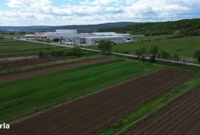 Spațiu comercial, în Central - 2