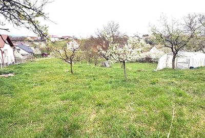 Teren Construcții intravilan de 600 mp, în Dumbrava 2 - 1