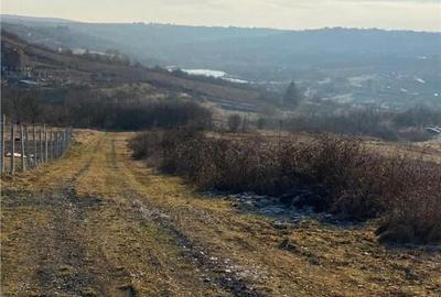 RECO Teren intravilan zona Hanul Pescarilor 1250mp - 2