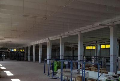 Spa?iu depozitare si productie Ciolpani - 14