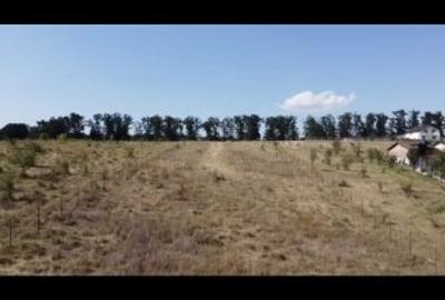 Teren de vanzare intravilan 1900m2 in Branesti IF - 4