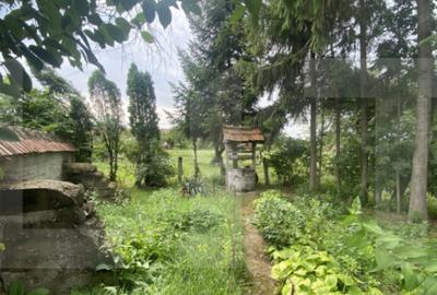 Casa tradi?ionala cu teren generos Belin - 10