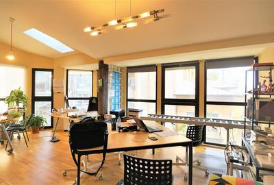 Vila activitati medicale - Victoriei - 9