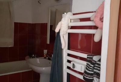 Apartament cu 2 camere semidecomandat în Rogerius - 4