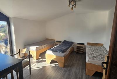 Proprietate speciala Dumbravita - casa individuala !! - 3