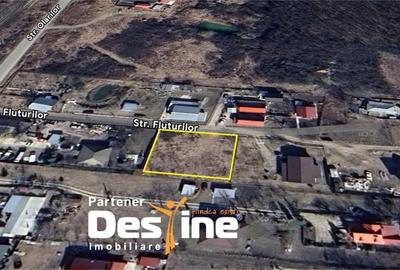 Teren Intravilan - Hlincea (Ciurea) 1000Mp - 2