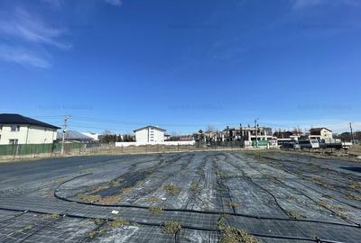 Teren Str. Livezilor - Mogosoaia - Comision 0% - 4