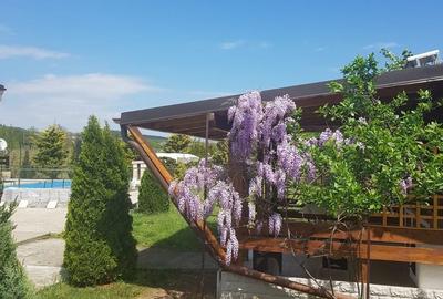 Casă cu 3 camere cu Teren 3280 Mp în Central - 19