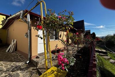 Casa de vacanta sau locuinta permanenta in Busteni, cartier Zamora – zona A - 3