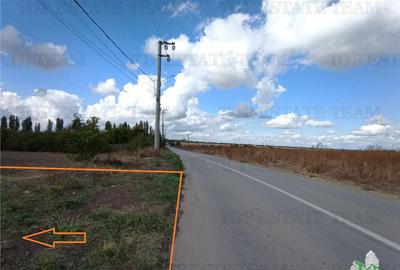 Teren de 1235 mp, în Petrăchioaia - 6