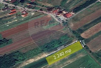 Teren de 2240 mp, în Lăpuș - 3