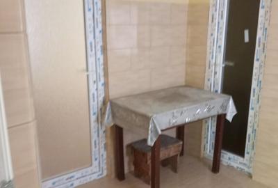 Vand casa curte Braila , zona Pod Brailita - 8