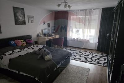 Casă cu 8 camere cu Teren 527 Mp în Berzasca - 9